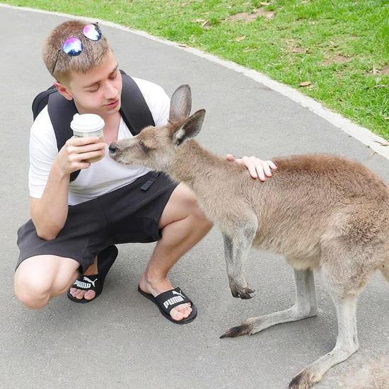 最佳娱乐赛事应用推荐下载指南